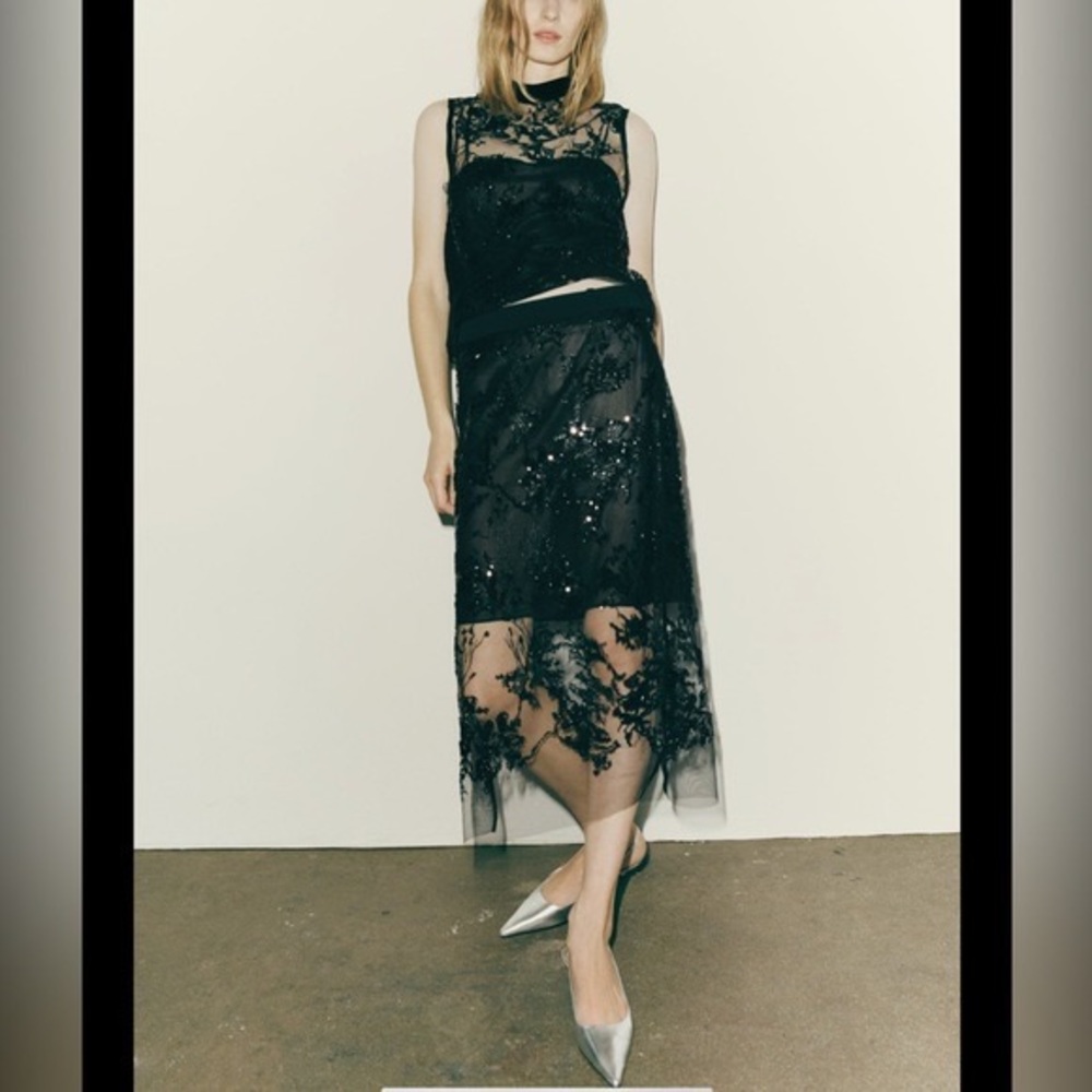 Zara Embroidered Sequined Skirt Set